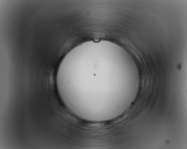 X0000103410516200809120952