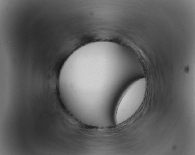 X0000103410517200809120952
