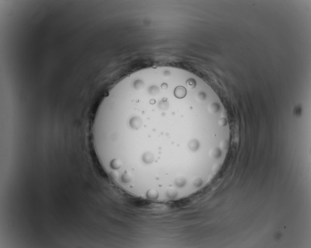 X0000103410519200809120952