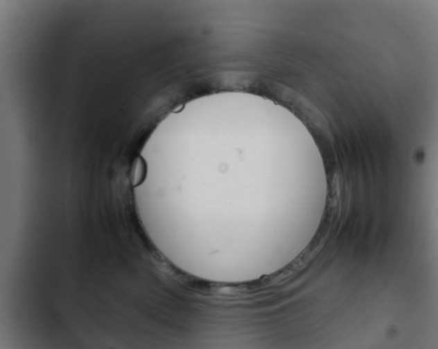 X0000103410522200809120952