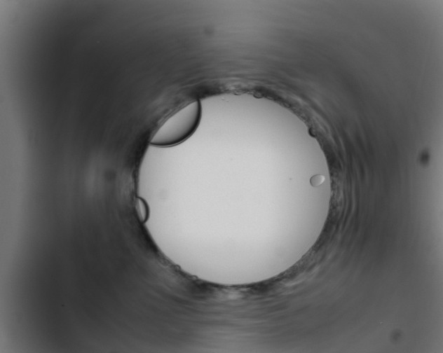 X0000103410523200809120952