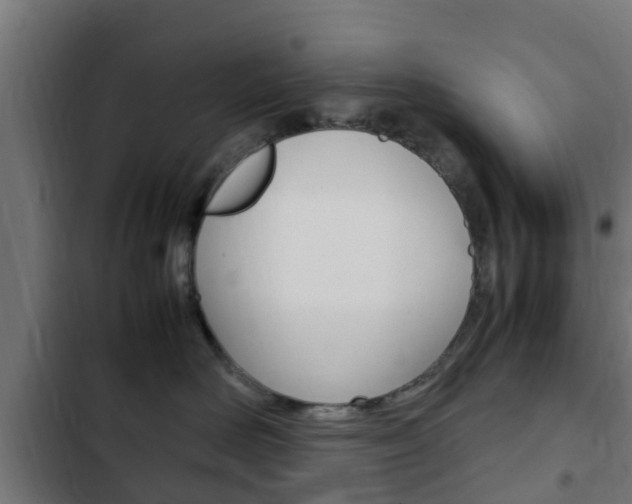 X0000103410526200809120952