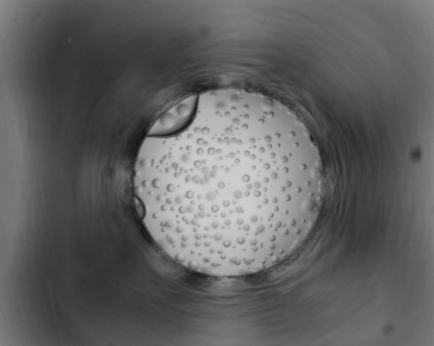 X0000103410527200809120951