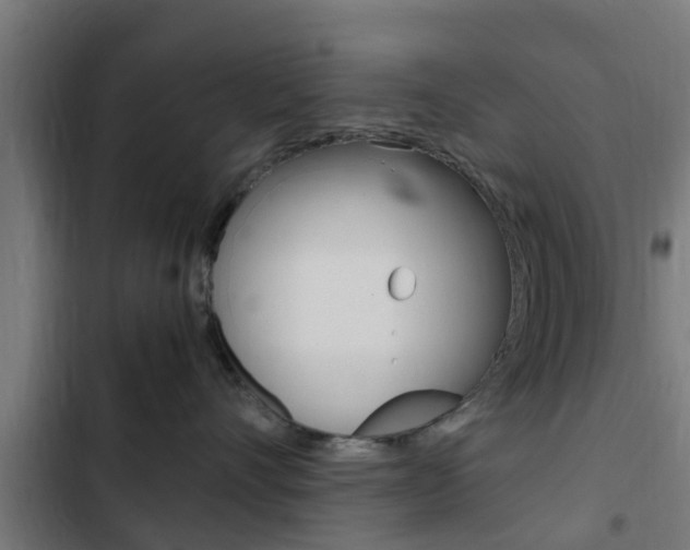 X0000103410528200809120951
