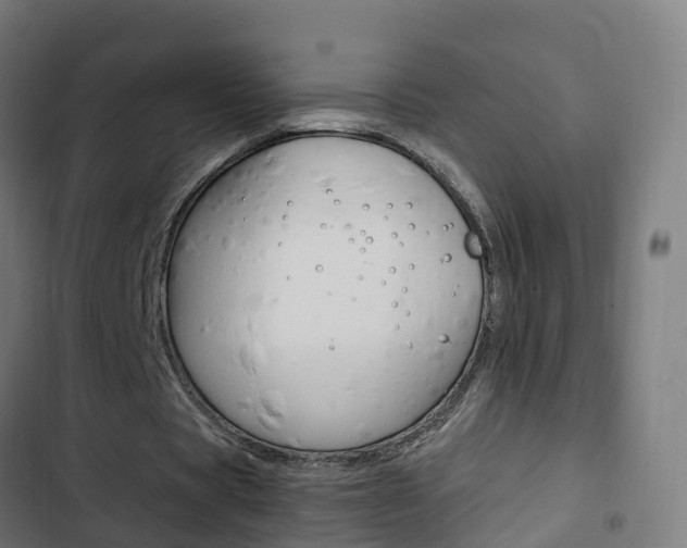 X0000103410529200809120951