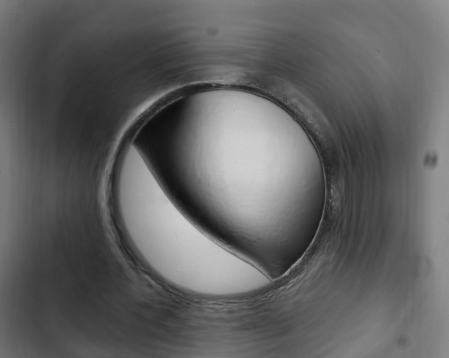 X0000103410532200809120951