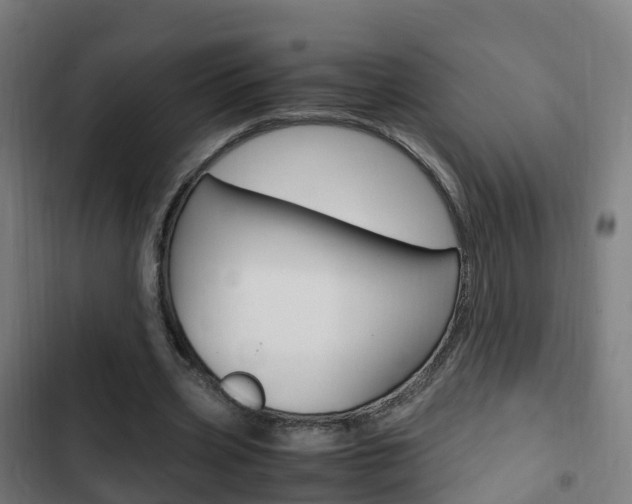 X0000103410533200809120951
