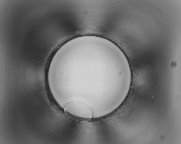 X0000103410534200809120951