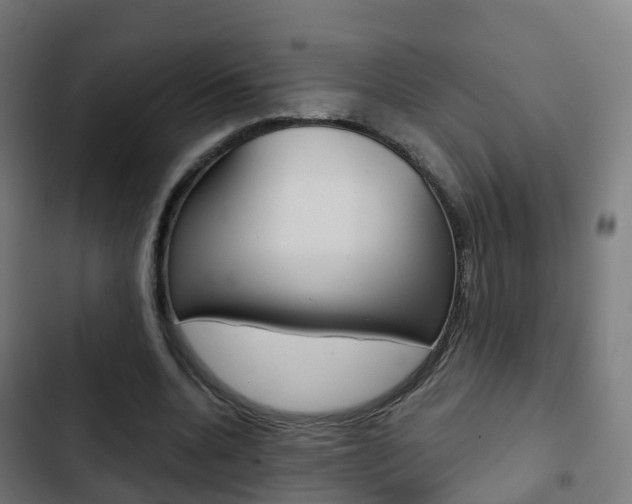 X0000103410536200809120951