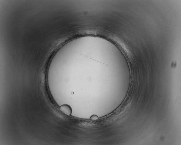 X0000103410537200809120951