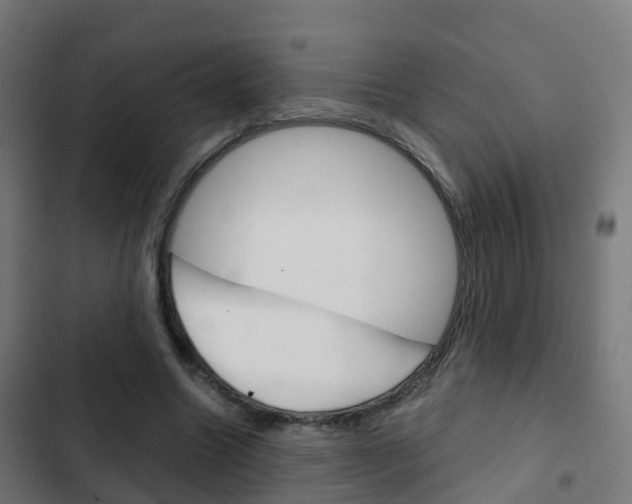 X0000103410538200809120951