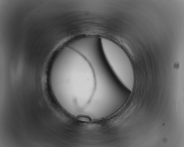 X0000103410539200809120951