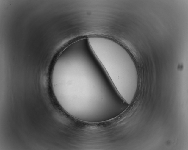 X0000103410540200809120951