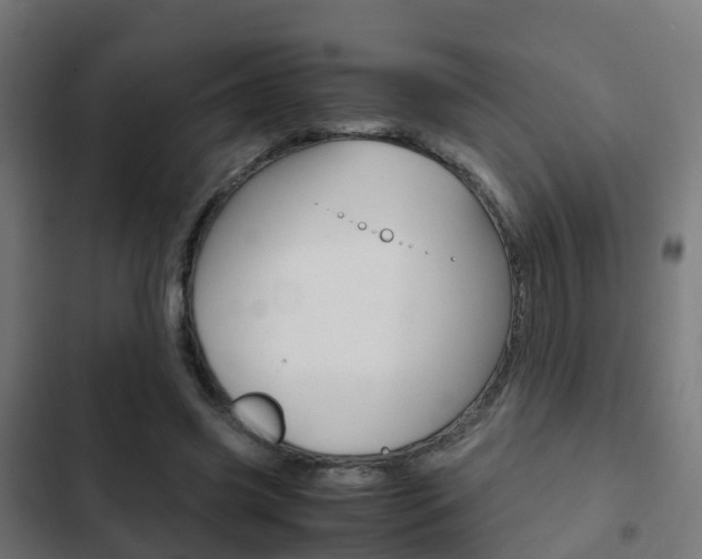 X0000103410541200809120951