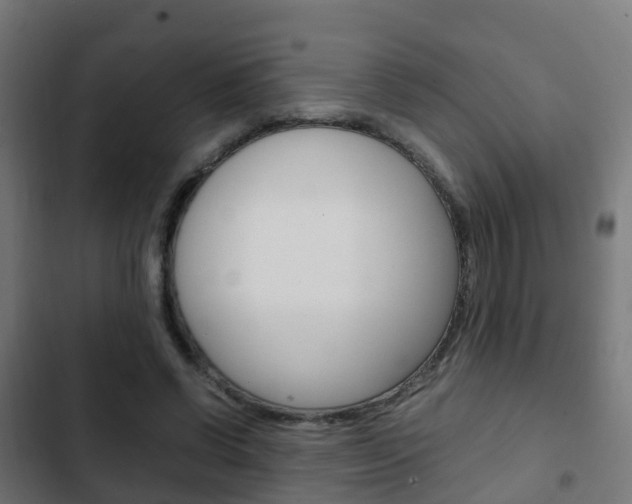 X0000103410542200809120951