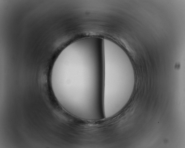 X0000103410543200809120951