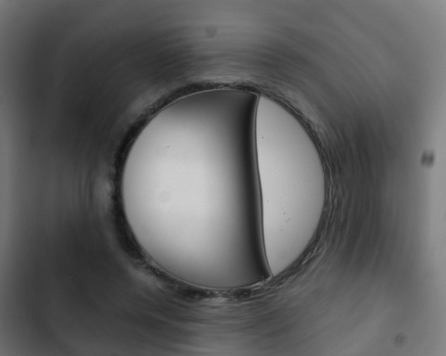 X0000103410544200809120951