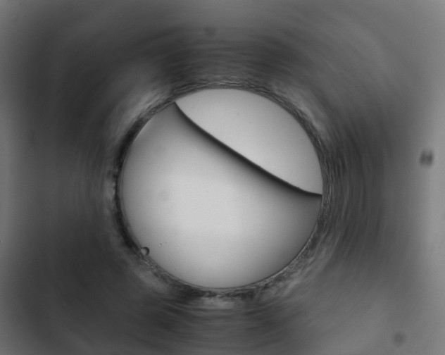 X0000103410545200809120951