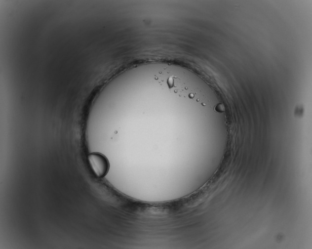 X0000103410546200809120951