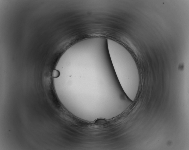 X0000103410549200809120951
