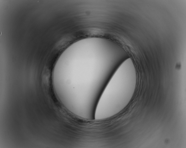 X0000103410550200809120951