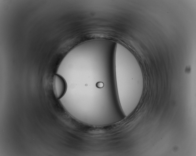 X0000103410551200809120951