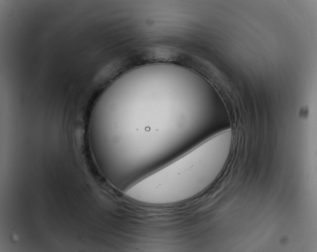 X0000103410552200809120951