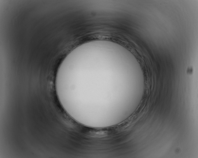 X0000103410553200809120951