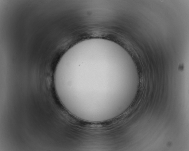 X0000103410554200809120951