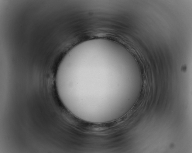 X0000103410555200809120951
