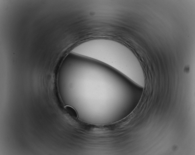 X0000103410556200809120951