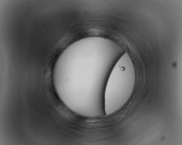 X0000103410557200809120951
