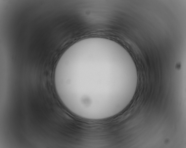 X0000103410558200809120951