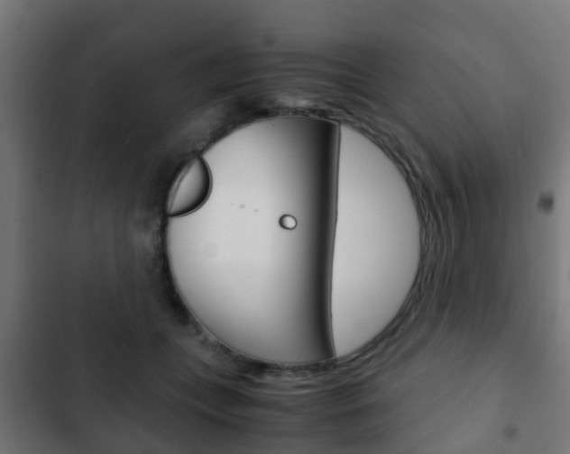 X0000103410559200809120951