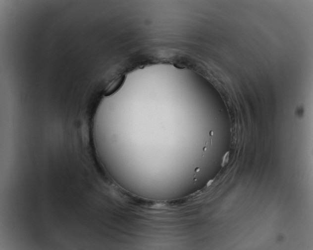 X0000103410562200809120951