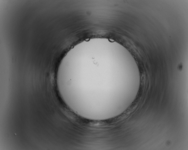 X0000103410564200809120951