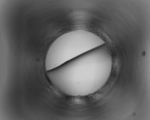X0000103410565200809120951