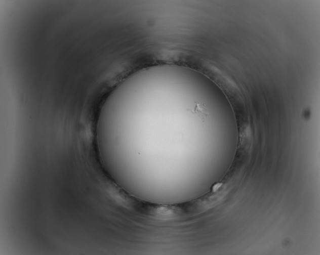 X0000103410566200809120951