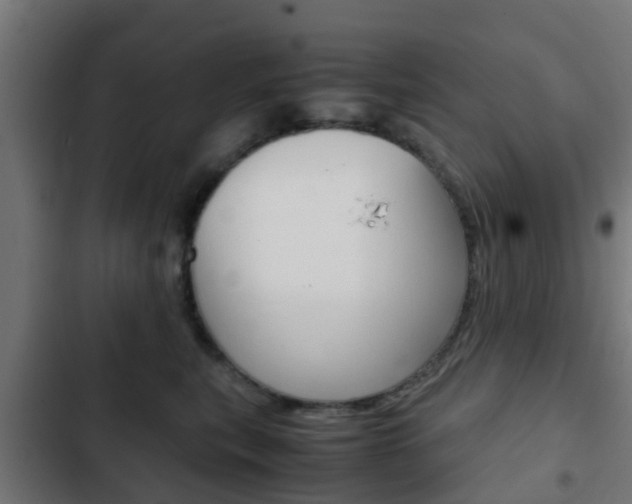 X0000103410567200809120951
