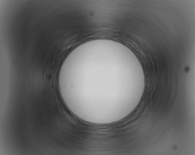 X0000103410568200809120951