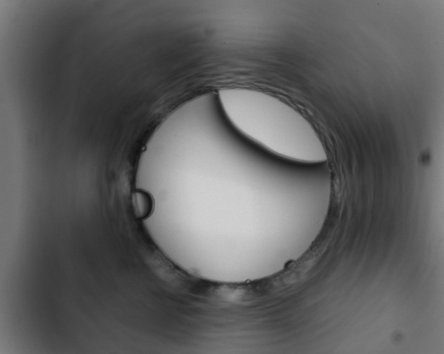X0000103410570200809120951