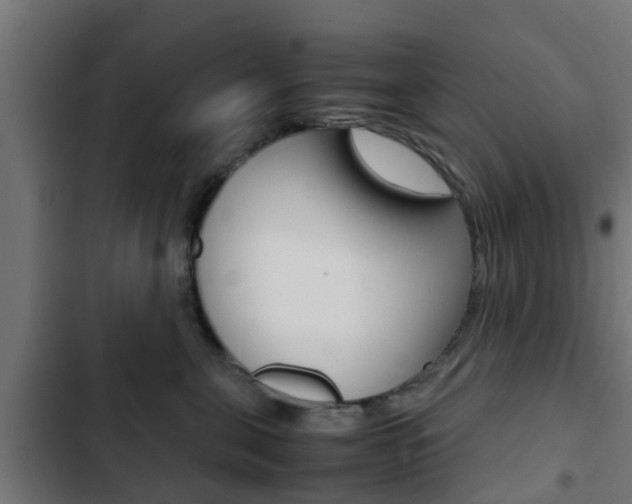 X0000103410571200809120951