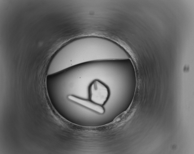 X0000103410577200809120951