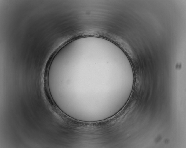X0000103410578200809120951