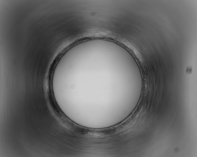X0000103410582200809120951