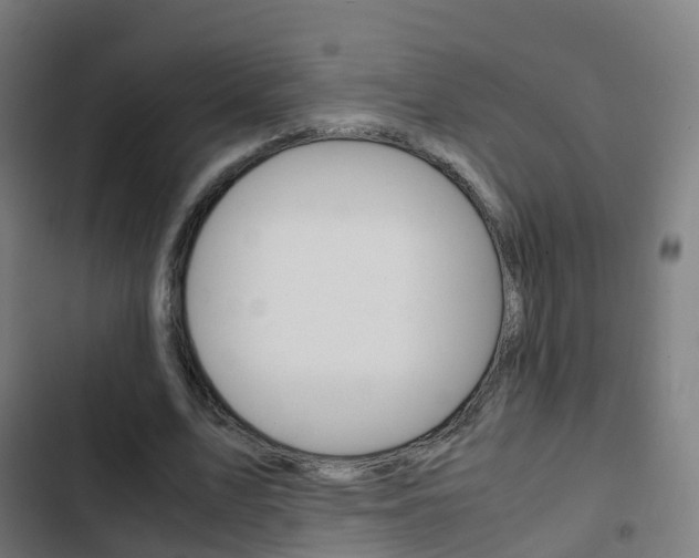 X0000103410583200809120951