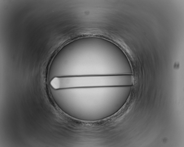 X0000103410585200809120951
