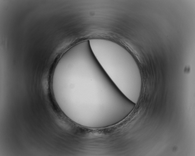 X0000103410586200809120951