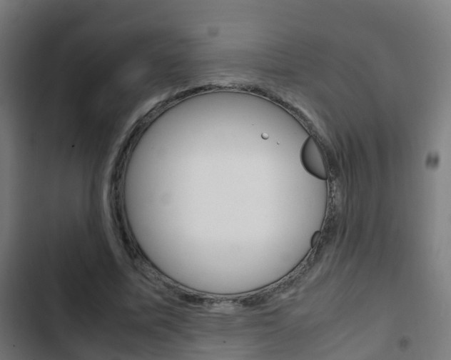 X0000103410587200809120951