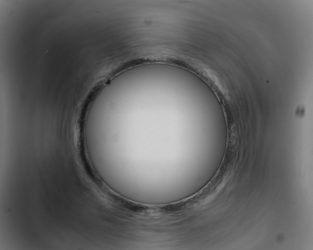 X0000103410589200809120950